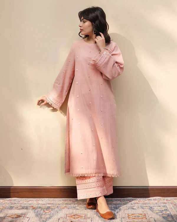 Embroidered Bliss || Stitched 2 Piece Eid Arrival FN-194